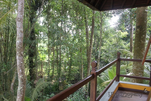 Verandah second floor